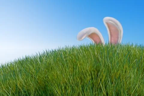 Happy easter. Rabbit ears stick out from a hill in a meadow in the grass. Illustrazione stock