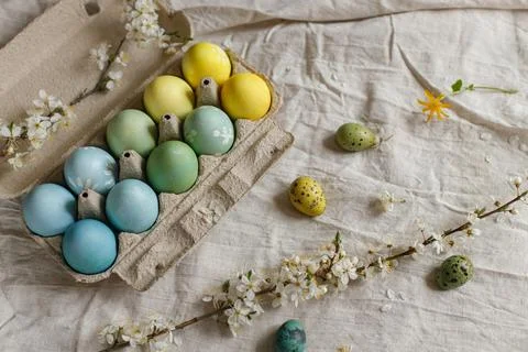 Happy Easter! Rustic easter still life. Natural painted eggs in paper tray .. Stock Photos