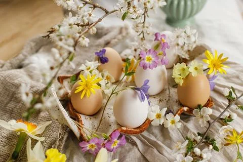 Happy Easter! Rustic easter still life. Stylish easter eggs and blooming sp.. Stock Photos