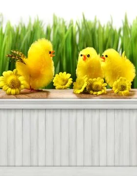 Happy Easter Spring background/backdrop Stock Photos