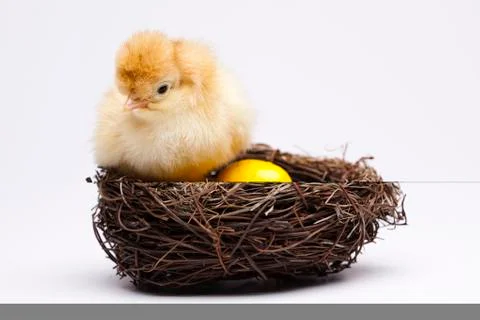 Happy Easter, spring colorful bright theme Stock Photos