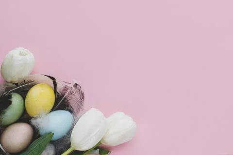 Happy Easter! Stylish easter eggs in nest and flowers flat lay on pink back.. Stock Photos