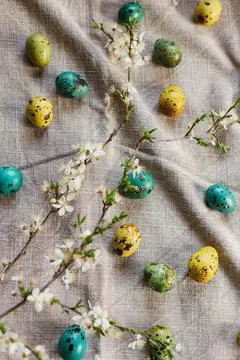 Happy Easter! Stylish easter eggs and blooming cherry branch on rustic tabl.. Stock Photos