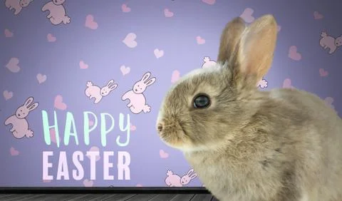 Happy Easter text with Easter Rabbit against wall with rabbit pattern Foto stock