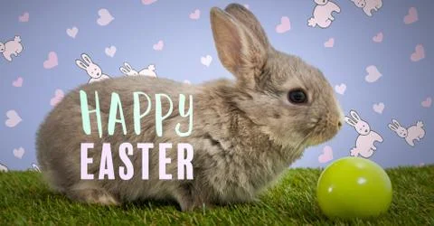 Happy Easter text with Easter rabbit with egg in front of pattern Stock Photos