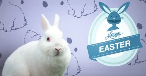 Happy Easter text with Easter rabbit in front of pattern Stock Photos