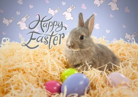Happy Easter text with Easter rabbit in front of pattern Stock Photos