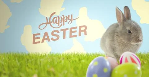 Happy Easter text with Easter rabbit with eggs in front of pattern Foto stock