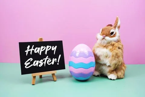 Happy Easter! text with rabbit and egg on pink and green background Stock Photos