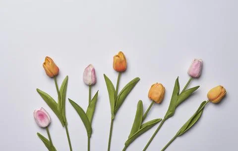 Happy easter time Stock-Fotos