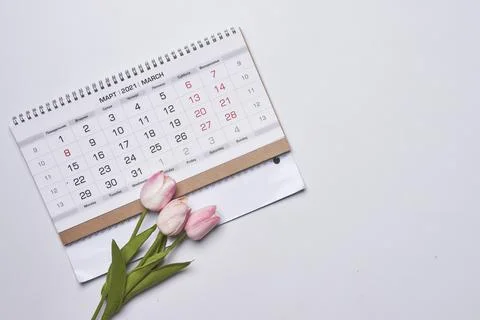 Happy easter time Stock Photos