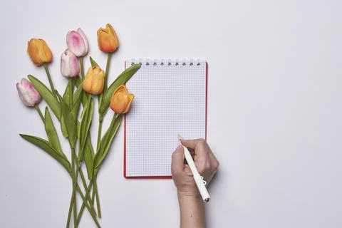 Happy easter time Stock Photos
