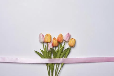 Happy easter time Stock Photos