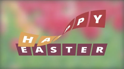 Happy Easter. Tulip field. Stock Footage 48332038