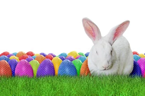 Happy Easter on white background Stock Photos