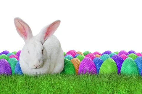 Happy Easter on white background Stock Photos