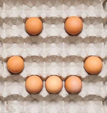 Happy egg concept Stock Photos