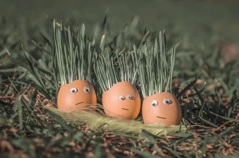 Happy eggs Stock Photos