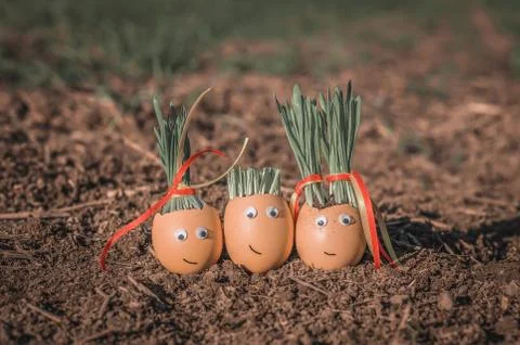 Happy eggs Stock Photos