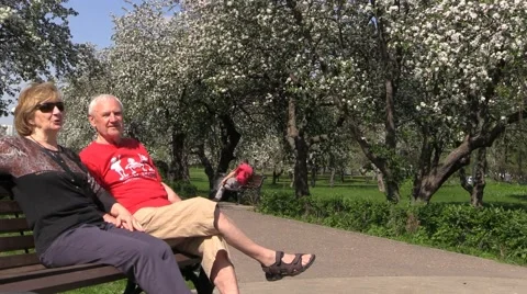Happy elderly couple sitting on bench and frindly talk in blooming apple park Stock Footage 68442153