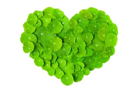 Happy Environment day Stock Photos