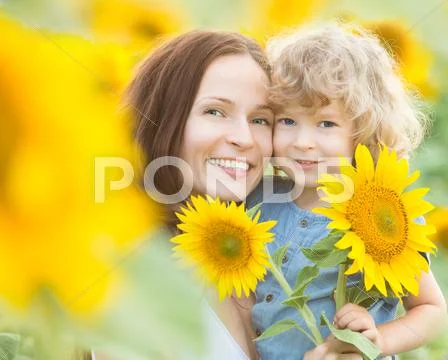 Happy family with beautiful sunflowers Stock Photos