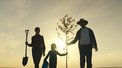 happy family child mother father tree pl... | Stock Video | Pond5