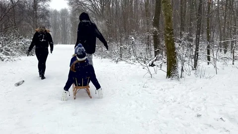 The happy family is having fun while walking through the winter park Stock Footage 148664994