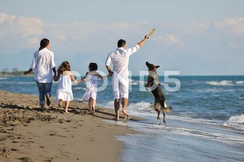 Happy family playing with dog on beach Stock Photos