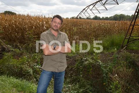 Happy farmer in the field checking corn plants during a sunny summer day, Stock Photos