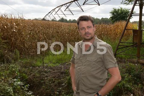 Happy farmer in the field checking corn plants during a sunny summer day, Stock Photos