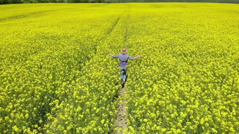 Happy Farmer in Hat Running in Rapeseed Field and Examining Crop. Aerial View Video stock 131931722
