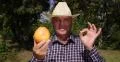 Happy Farmer Man Checking Quality Good Results Inspection Ok Sign Hands Gesture 4k or 4k+ Resolution