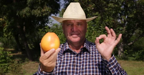 Happy Farmer Man Checking Quality Good Results Inspection Ok Sign Hands Gesture Stock Footage 55341842