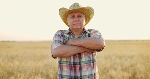 Happy farmer in straw hat standing in wheat field at sunset, crossing his arms Stock Footage 157722552