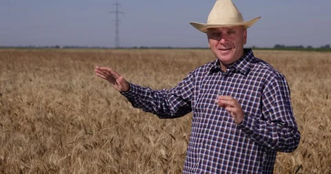 Happy Farmer Talking Confident in a Interview in Middle of Farm Wheat Field Stock-Footage 102260953