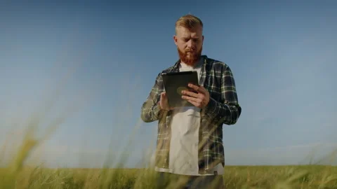 A happy farmer while checking his wheat fields Stock Footage 201483555