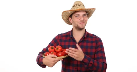 Happy Farmer Worker Man Positive Talking About Organic Tomatoes Farming Garden Stock Footage 87904258