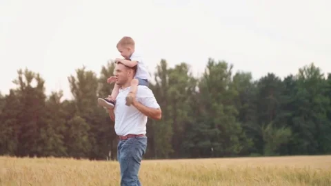Happy father and little son walking in summer field and having fun.Son sits on Stock Footage