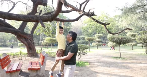 Happy father helping son hanging from tree branch at park Stock Footage