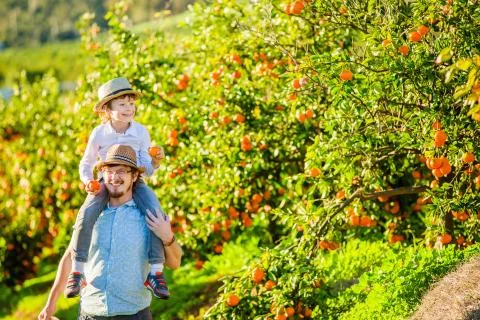 Happy father with his young son have fun on citrus farm Stock Photos