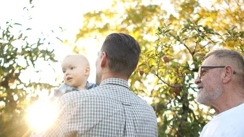Happy father throws up his one and a half year old son. Grandfather, son and Stock Footage 118853572
