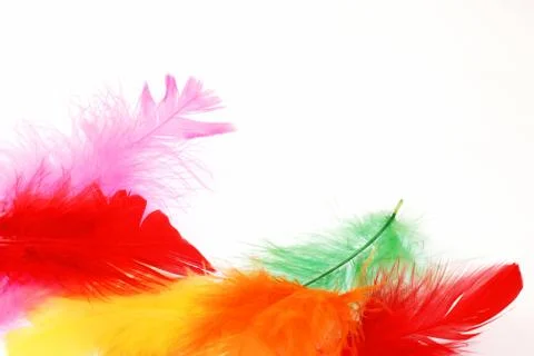Happy feathers Foto stock