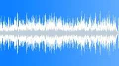 Happy Feel Background Music with Fiddle (violin) Stock Music