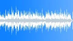 Happy Feel Music with Fiddle (violin) Stock Music