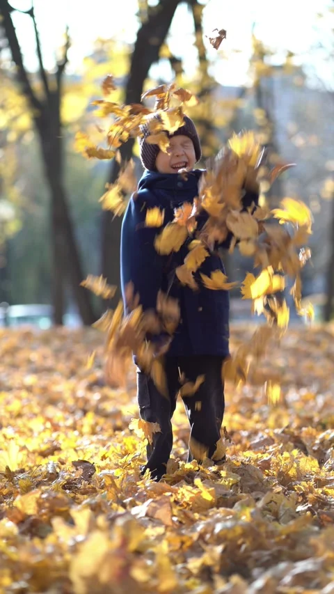 Happy five-year-old boy in blue coat throws yellow autumn leaves upward in a Stock-Footage 348093329