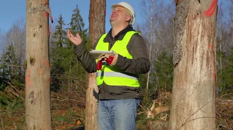 Happy Forest engineer with tablet PC near the trees Stock Footage 43782530