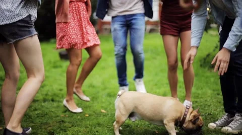 Happy friends dancing at summer party in garden Stock Footage