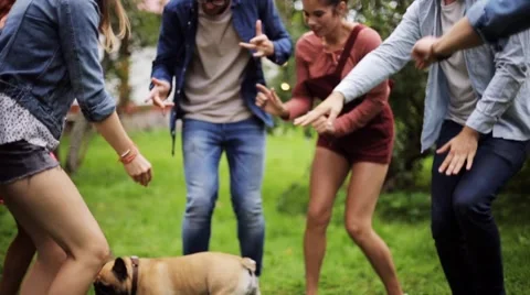 Happy friends dancing at summer party in garden Stock Footage