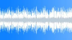 Happy Fun Positive Fast Optimistic Funny Country Blues Rock Music - 60 sec loopStock Music